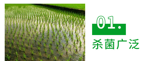 30%���ס��fù�`ˮ��-�L�p����-�L�p�r(n��ng)ˎ