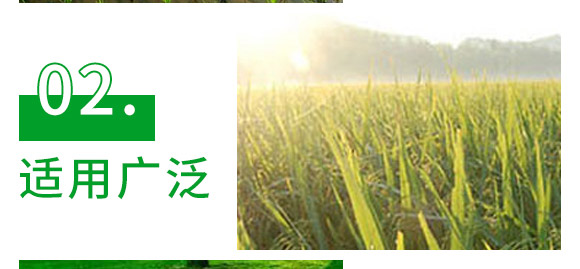 30%���ס��fù�`ˮ��-�L�p����-�L�p�r(n��ng)ˎ