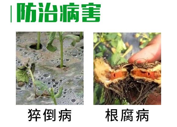 30%���ס��fù�`ˮ��-�L�p����-�L�p�r(n��ng)ˎ