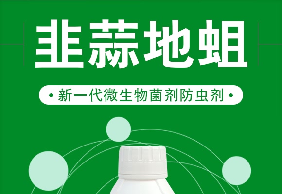 �������-����ɭ