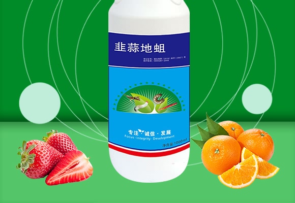 �������-����ɭ