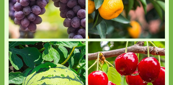 ����ֲ��ˮ�ܷ��ϣ���������ͣ�-����-���r(n��ng)����