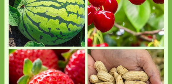 ����ֲ��ˮ�ܷ��ϣ���������ͣ�-����-���r(n��ng)����