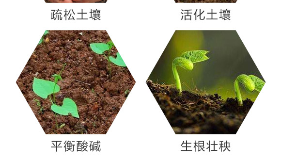 ��΢��Ԫ�ؾ���w��-��˹���r(n��ng)