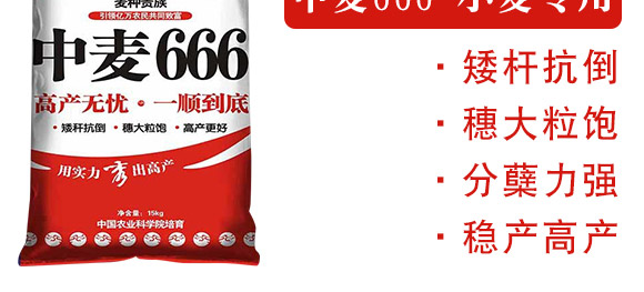 ����666-���N�F��-����N�I(y��)