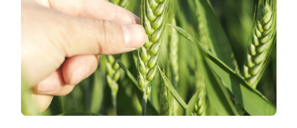 ����666-���N�F��-����N�I(y��)