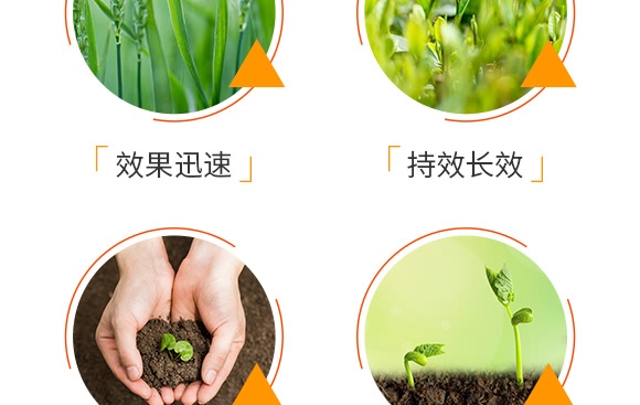 5億微生物菌劑-普創(chuàng)科技 5億微生物菌劑-普創(chuàng)科技