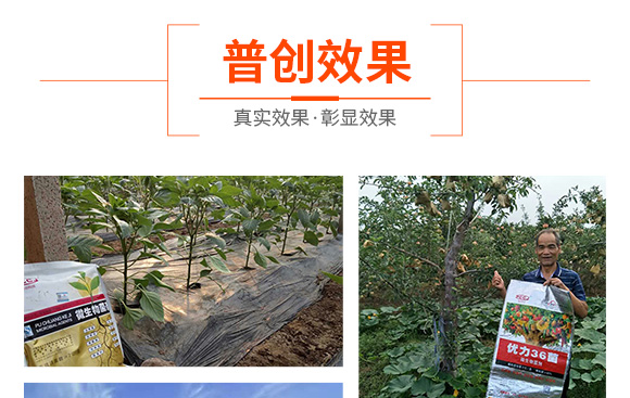 5億微生物菌劑-普創(chuàng)科技 5億微生物菌劑-普創(chuàng)科技