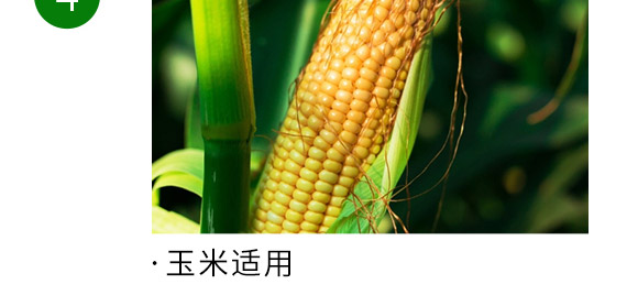 ��(f��)�Ϸ���15-15-15-�Z����-�Ѓ�(ch��)�Z