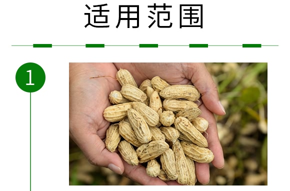 �ͺϷ���25-12-8-�Z����-�Ѓ��Z