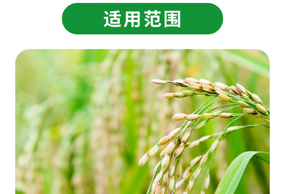 �S������������40-0-0-�����-�F�컯