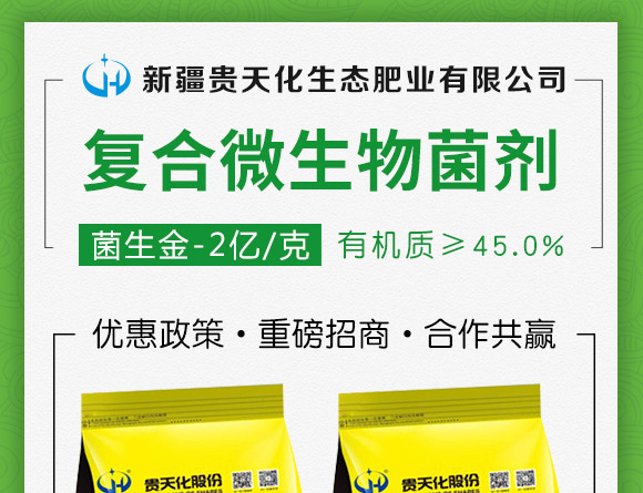 �ͺ�΢�������-������2�|/�ˣ�-�F�컯