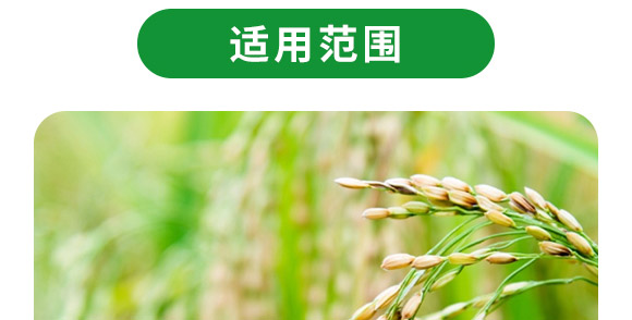 �ͺ�΢�������-������2�|/�ˣ�-�F�컯