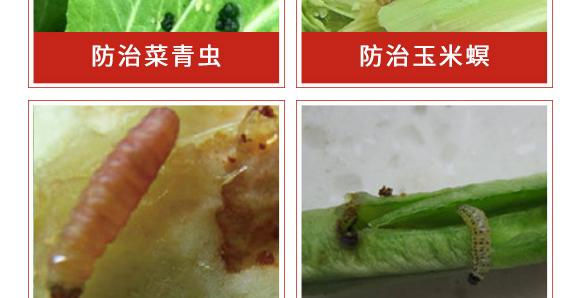 �׾S�����x��-ʭ����-����