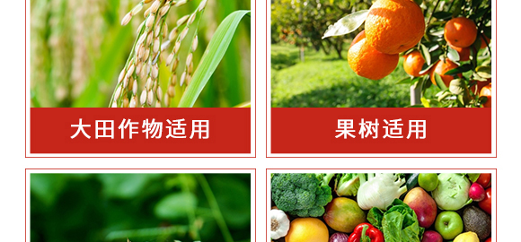 �׾S�����x��-ʭ����-����