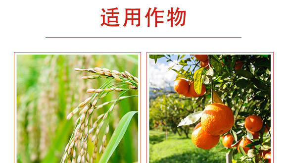 ��������-�����r(n��ng)��