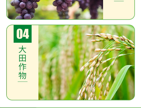 ����Ԫ��ˮ�ܷ�20-20-20+TE��ƽ���ͣ�-�°��~��