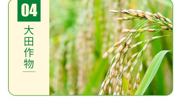 ����Ԫ��ˮ�ܷ�13-7-+TE-�°��~��