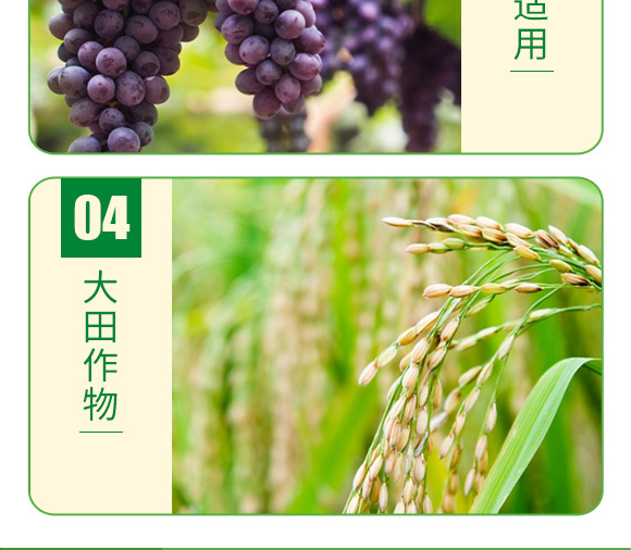 ����ֳ��ˮ�ܷ���-�~�ƾ��ܵ�-�°��~��