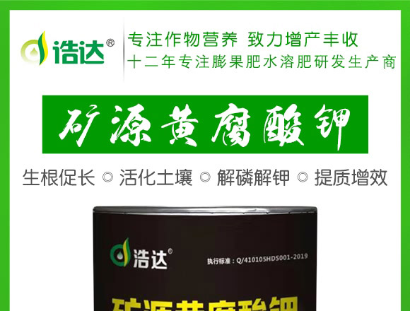 �VԴ�S�����-���_(d��)