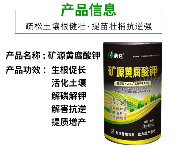 �VԴ�S�����-���_(d��)