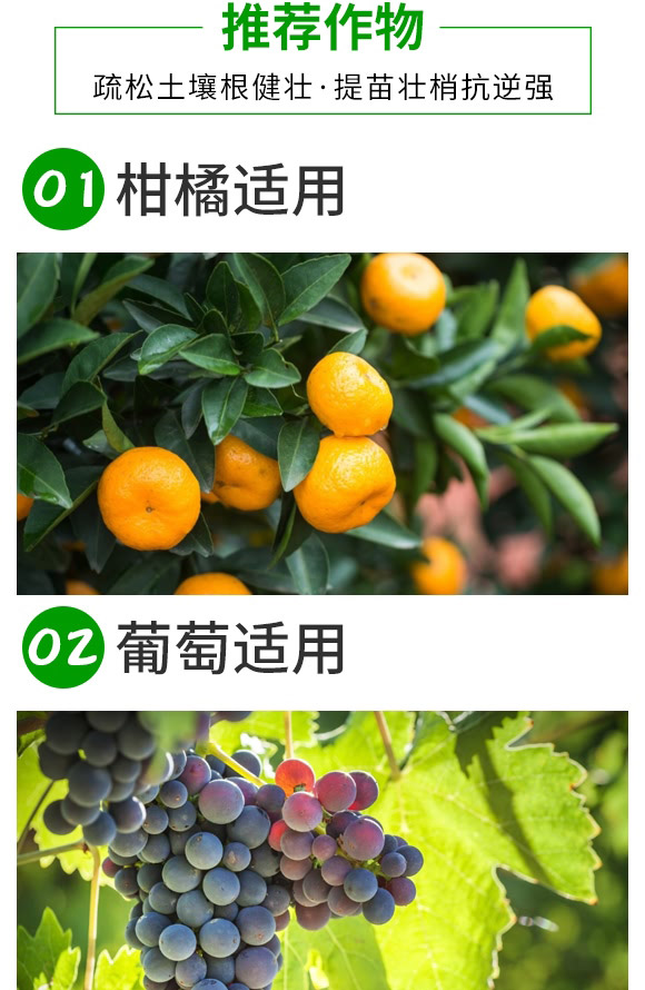 �VԴ�S�����-���_(d��)