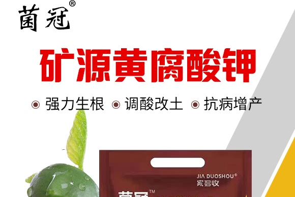 ���ڵVԴ�S�����-����S