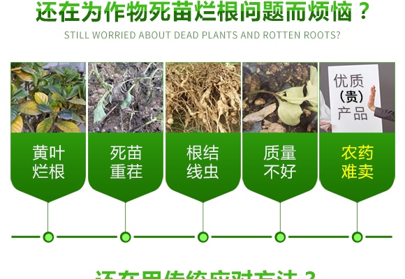 ���ڵVԴ�S�����-����S