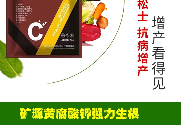 ���ڵVԴ�S�����-����S