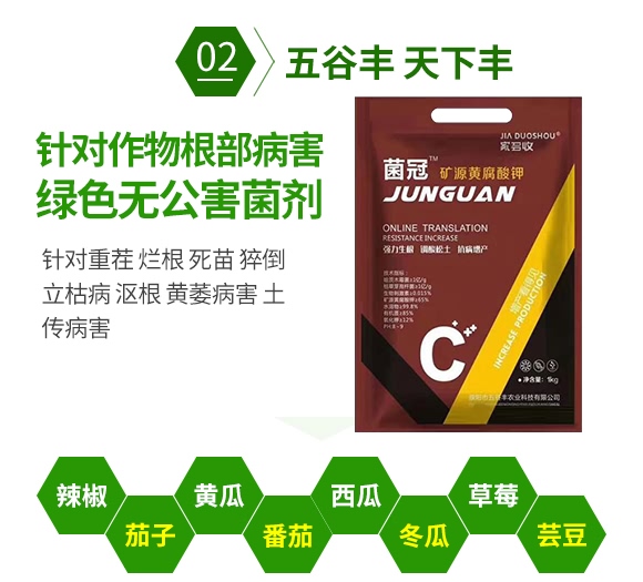 ���ڵVԴ�S�����-����S