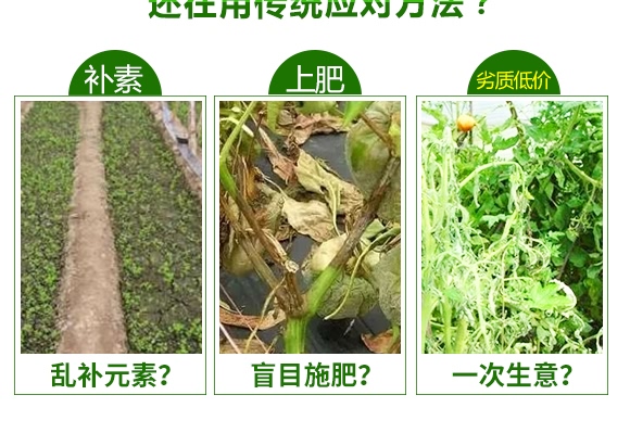 ����̼�ʣ�2kg��-����S