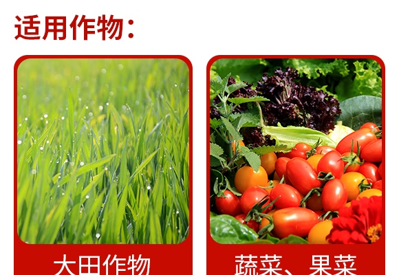 16%���xຑҸ��N��-����-�����r(n��ng)