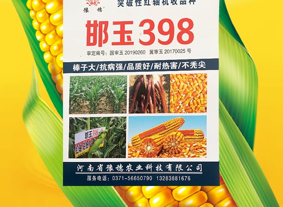 ����398-���׷N��-ԥ���r(n��ng)�I(y��)