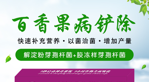 ΢�����-��������P��-���S��