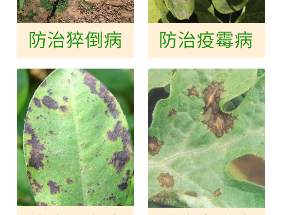 ΢�����-��������P��-���S��