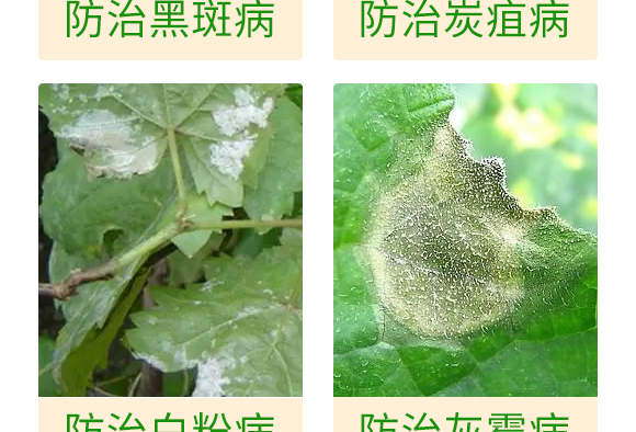 ΢�����-��������P��-���S��