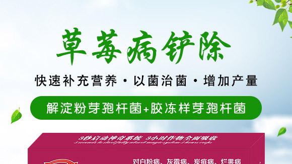 ΢�����-��ݮ���P��-���S��