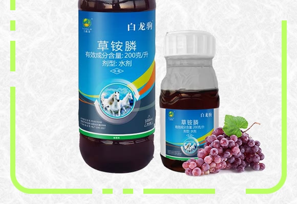 ���@�ˮ��-�����x-���ɽ�