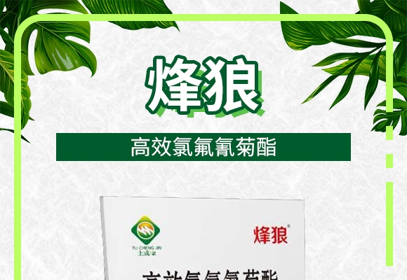 �ȷ������-����-���ɽ�