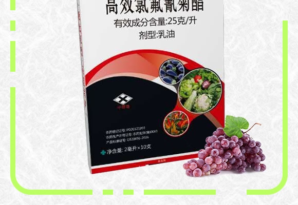 �ȷ������-����-���ɽ�