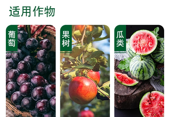 �ȷ������-����-���ɽ�