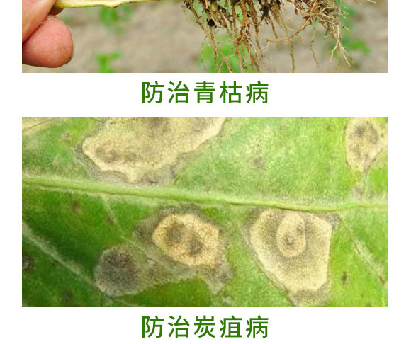 �y�x���ز�������ք�-�f����-Ǭ�r(n��ng)