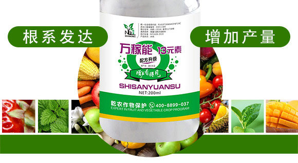 �f����13Ԫ�أ�ƿ�b��-Ǭ�r(n��ng)