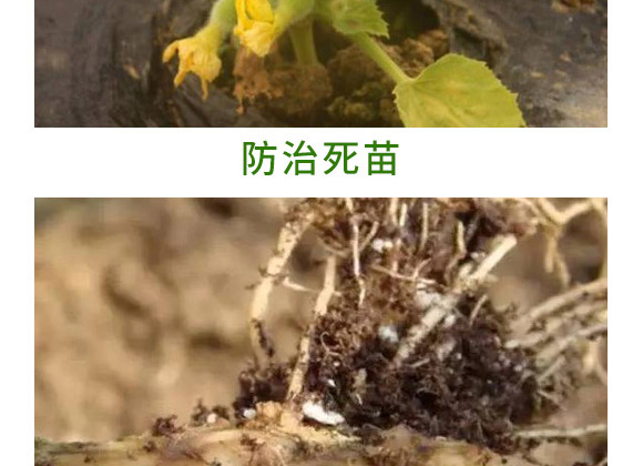 �f����13Ԫ�أ�ƿ�b��-Ǭ�r(n��ng)