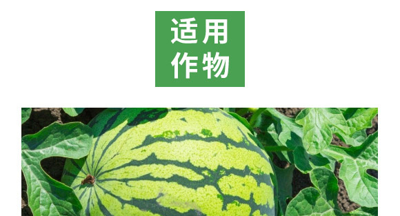 �f����13Ԫ�أ�ƿ�b��-Ǭ�r(n��ng)