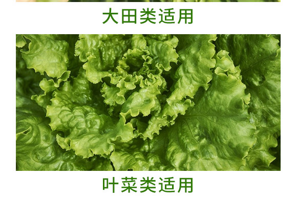 �f����13Ԫ�أ�ƿ�b��-Ǭ�r(n��ng)