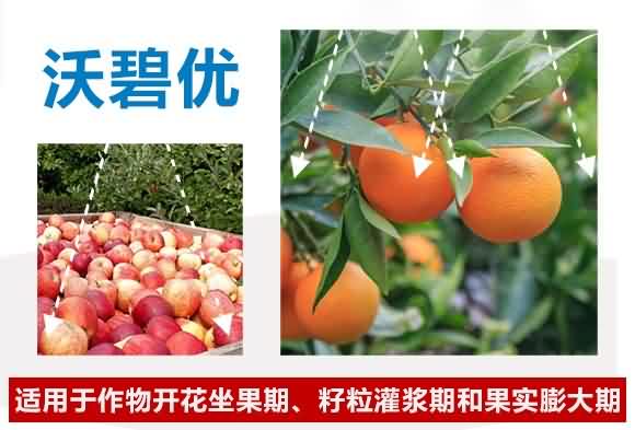 ����Ԫ��ˮ�ܷ���0-500-600+TE-�ֱ̃�(y��u)-������