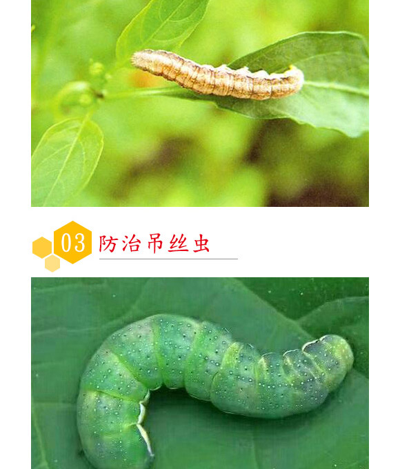 �K�ƽ�U���Ҹ���-������-��(r��n)������