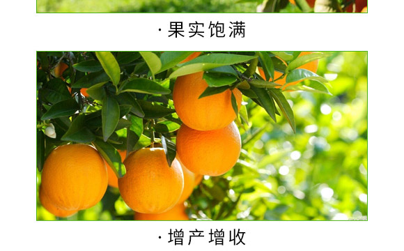 ȫ�aһ̖-������-�����S