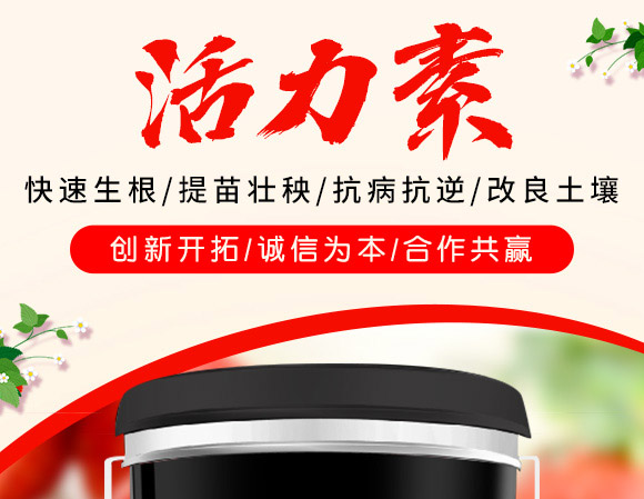 ������-����-�������H